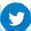 X (formerly Twitter) logo